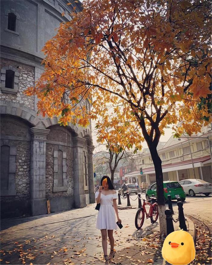 Aura Home Whole French House Hanoi Zewnętrze zdjęcie