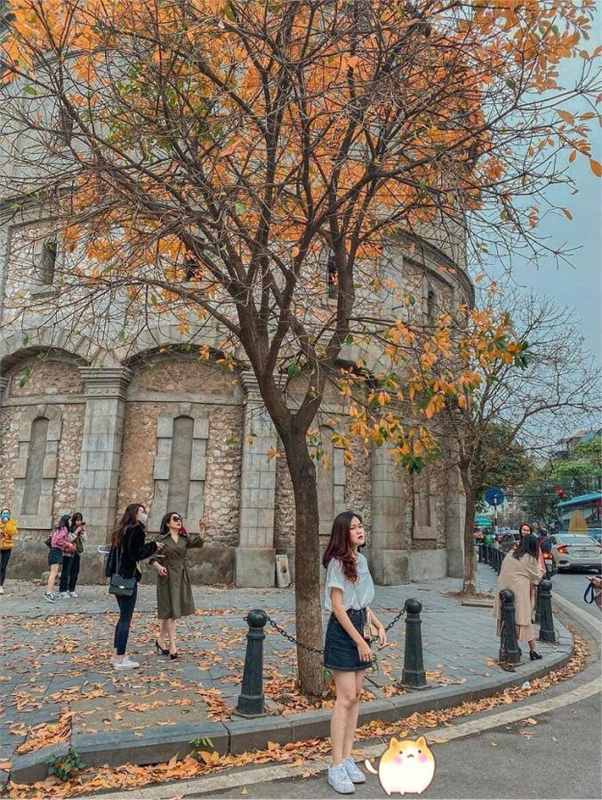Aura Home Whole French House Hanoi Zewnętrze zdjęcie
